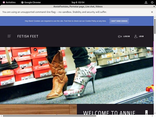 Active AnnieFootsies Passwords