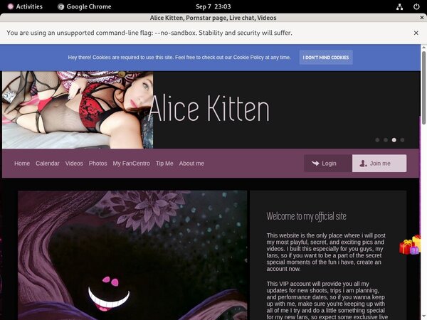 Alice Kitten Free Xxx