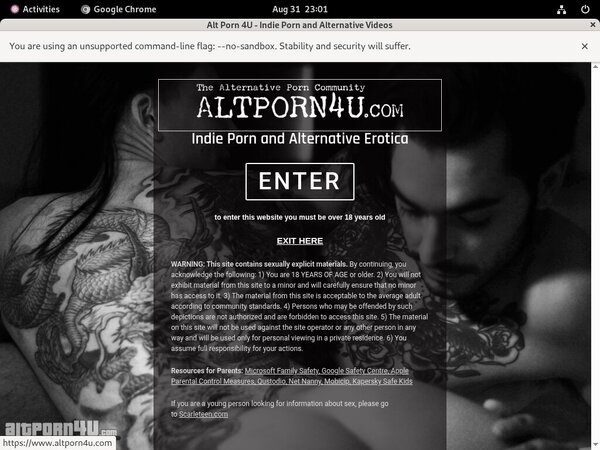 Alt Porn 4 U App
