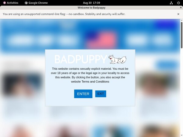 Badpuppy.com Membership Account