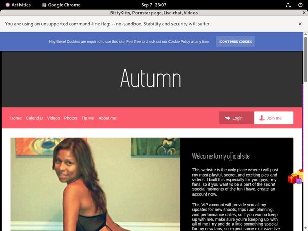 BittyKitty Full Account