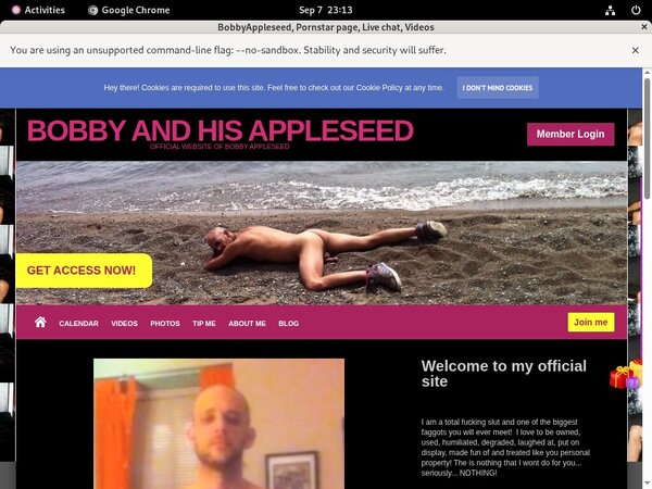 [Image: Bobbyappleseed-Login-Codes.jpg]