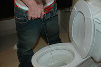 Boys-pissing.com Renew Membership s1