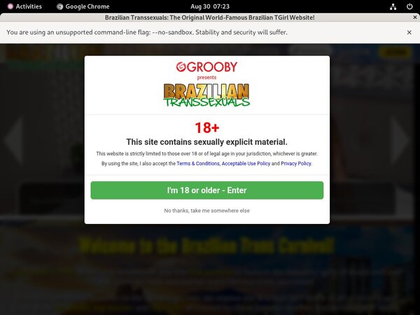 Brazilian Transsexuals Access Free