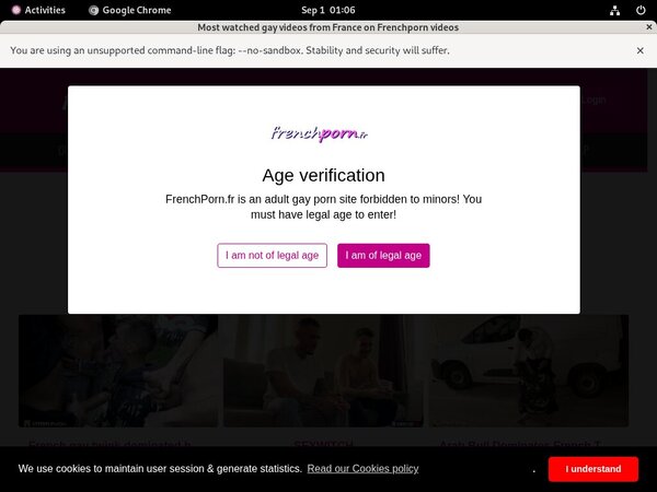 Free Accounts In Frenchporn