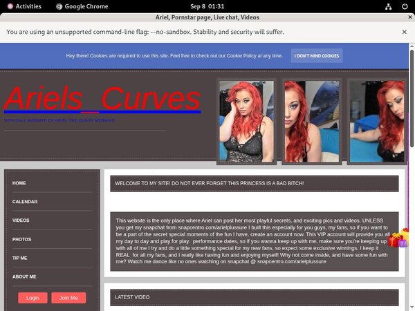 Free Login Ariel