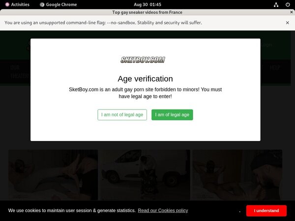 Free Sketboy.com Account Logins