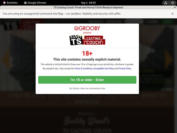 [Image: Free-Tscastingcouchcom-Scenes.jpg]