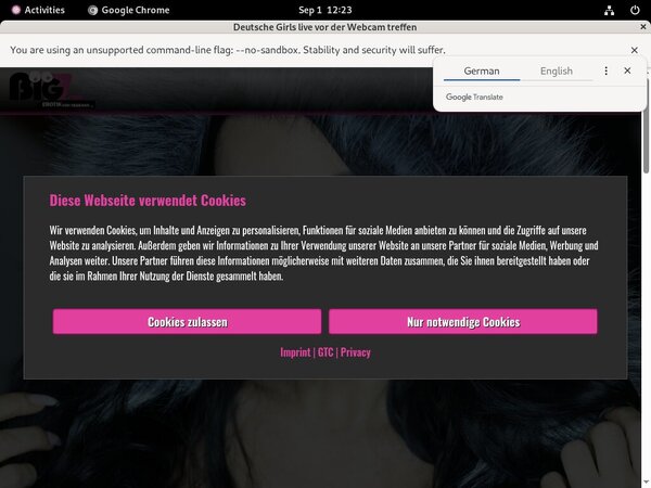 Free Users For Lanagiselle.tv