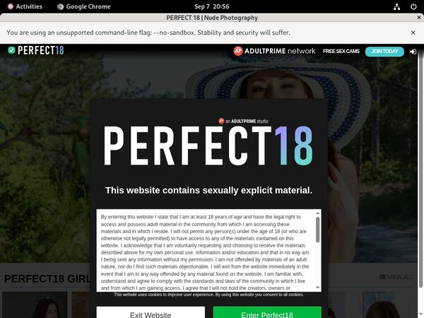 Gay Perfect18.com