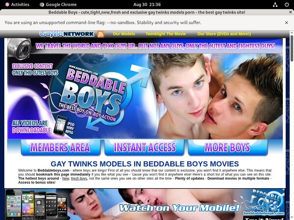 How To Get Free Beddable Boys Accounts