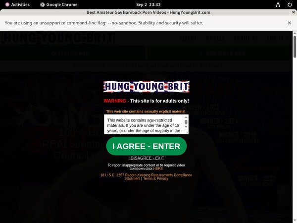 Hungyoungbrit.com Net