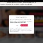 JapanLust Rocketpay