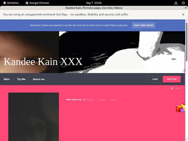 Kain Kandee Free Passwords