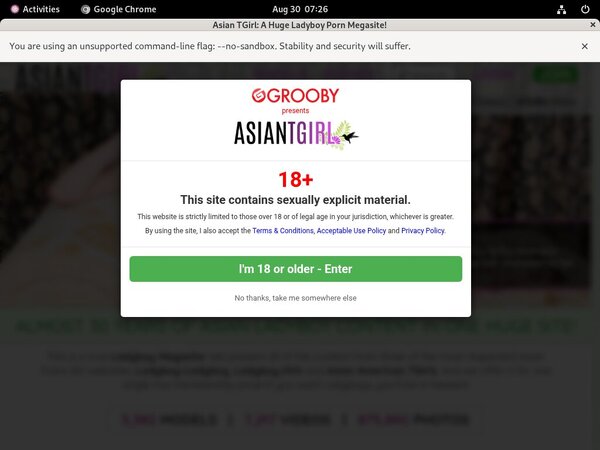 Ladyboyladyboy Save 50% On 30Day Pass