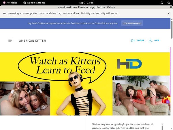 [Image: Limited-Americankittens-Discount-Offer.jpg]