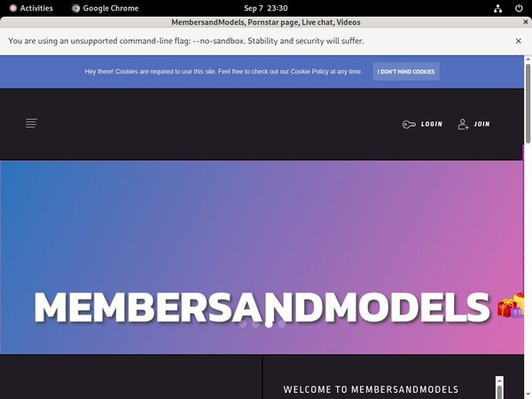 MembersandModels With Discover Card