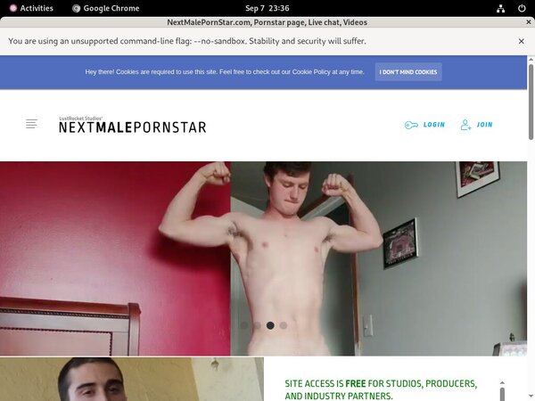 NextMalePornStar.com Guys