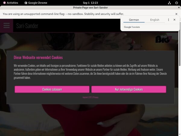 SariSander Login Information