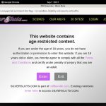 Silver Sluts Payment Methods