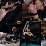 Subspace Land Deal Offer