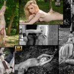 Subspace Land Hacked Password