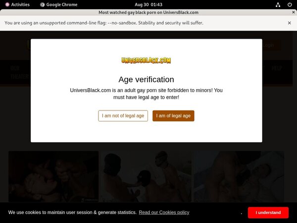 Universblack.com Website