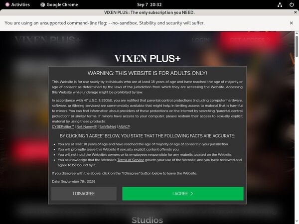 Vixen Plus Site Rip Link