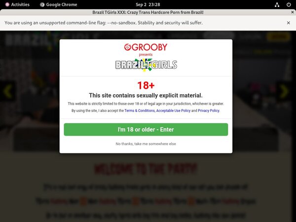 Brazil TGirls XXX Password Generator