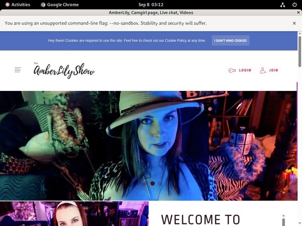 Does AmberLily Use Paypal? Does AmberLily Use Paypal?