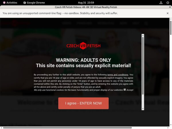 Fre Czechvrfetish.com Login And Password