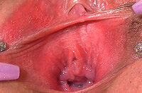 Gapemypussy Orgasm s0