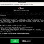 How To Get On Asiaboyvideo For Free