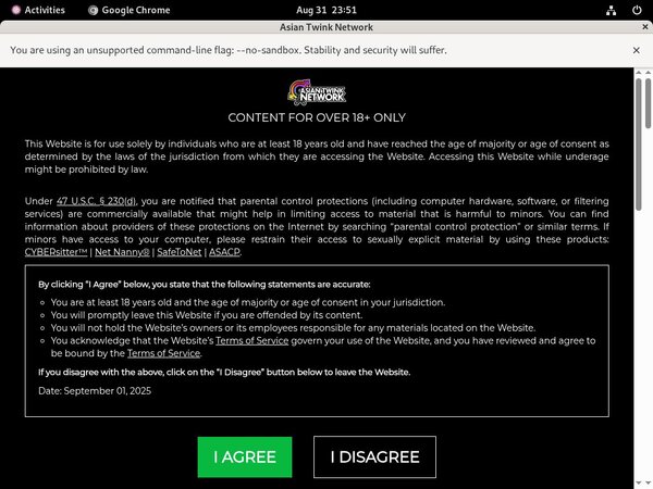 How To Get On Asiaboyvideo For Free