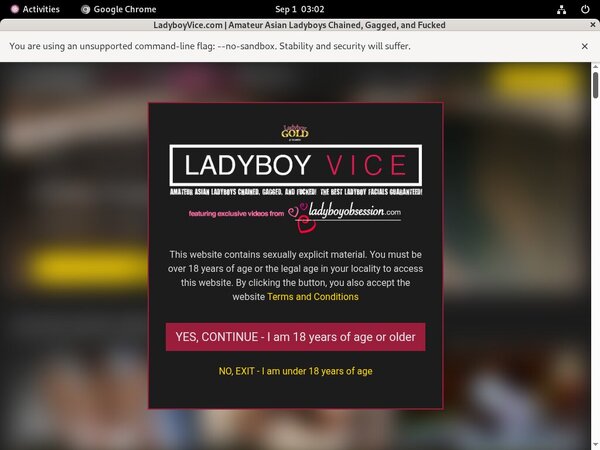 Ladyboyvice.com Join By Check