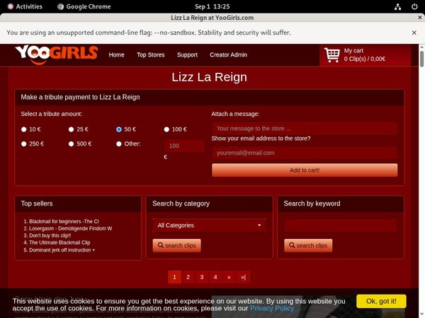 LizzLaReign Checkout Page