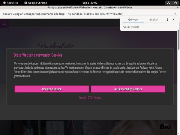 Parkplatzluder19.com Full Access