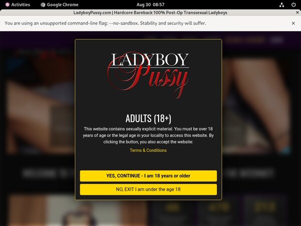 Pussy Ladyboy Account