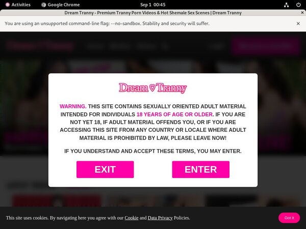 Valid Dream Tranny Passwords