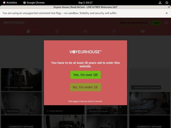 Voyeurhouse Without CC