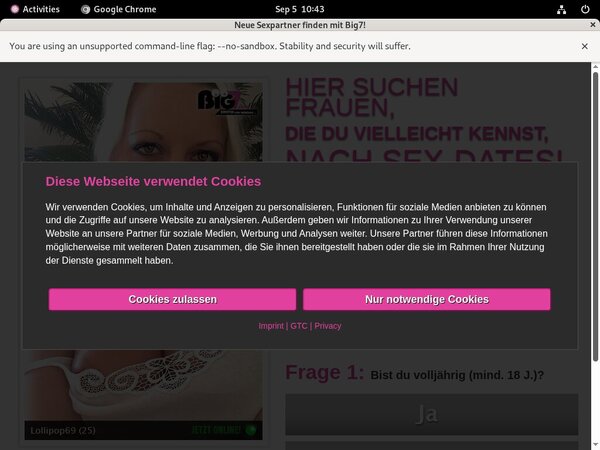 Yoursecretdream.com Cost