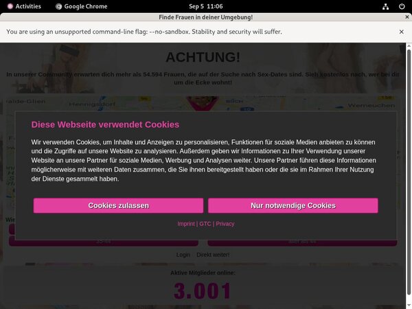 Marie Saint Login Generator