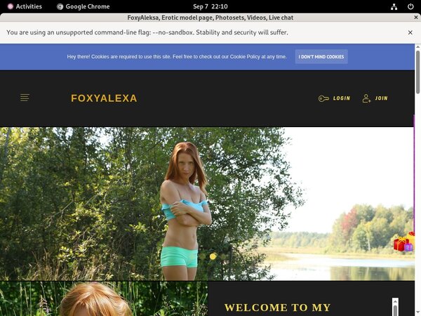Contas Premium Foxyaleksa.com Contas Premium Foxyaleksa.com