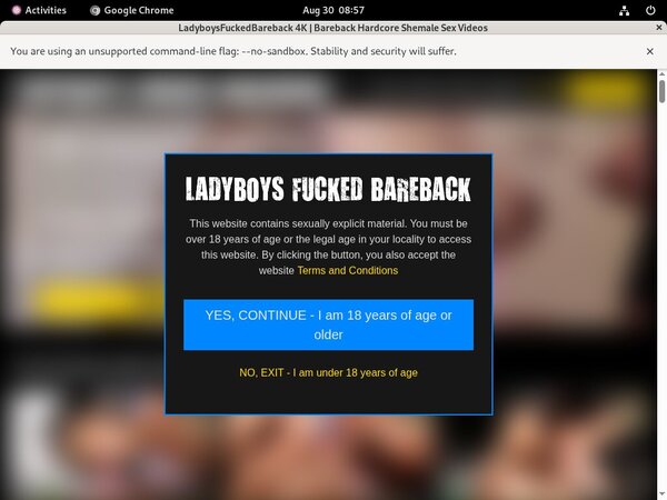 Barebackfuckedladyboys Epoch